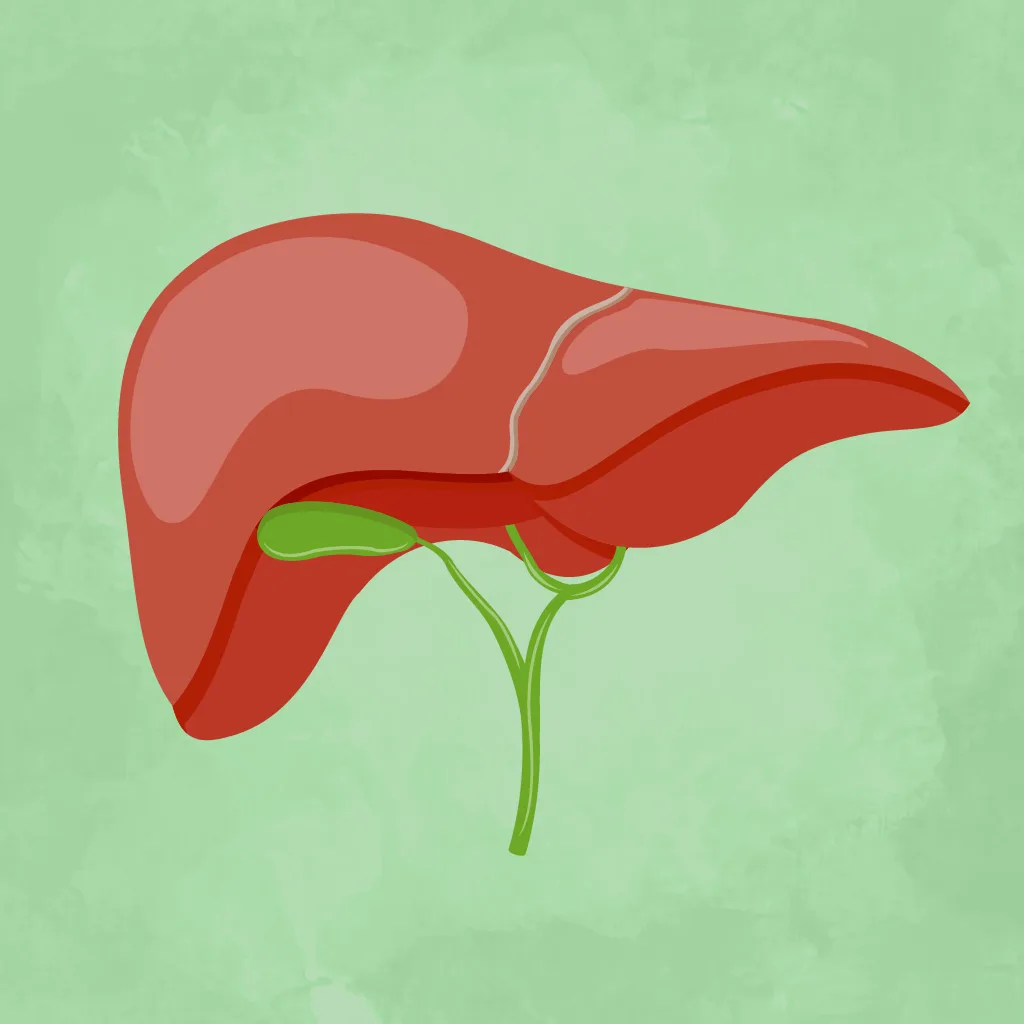 Non-Alcoholic Fatty Liver Disease (NAFLD)