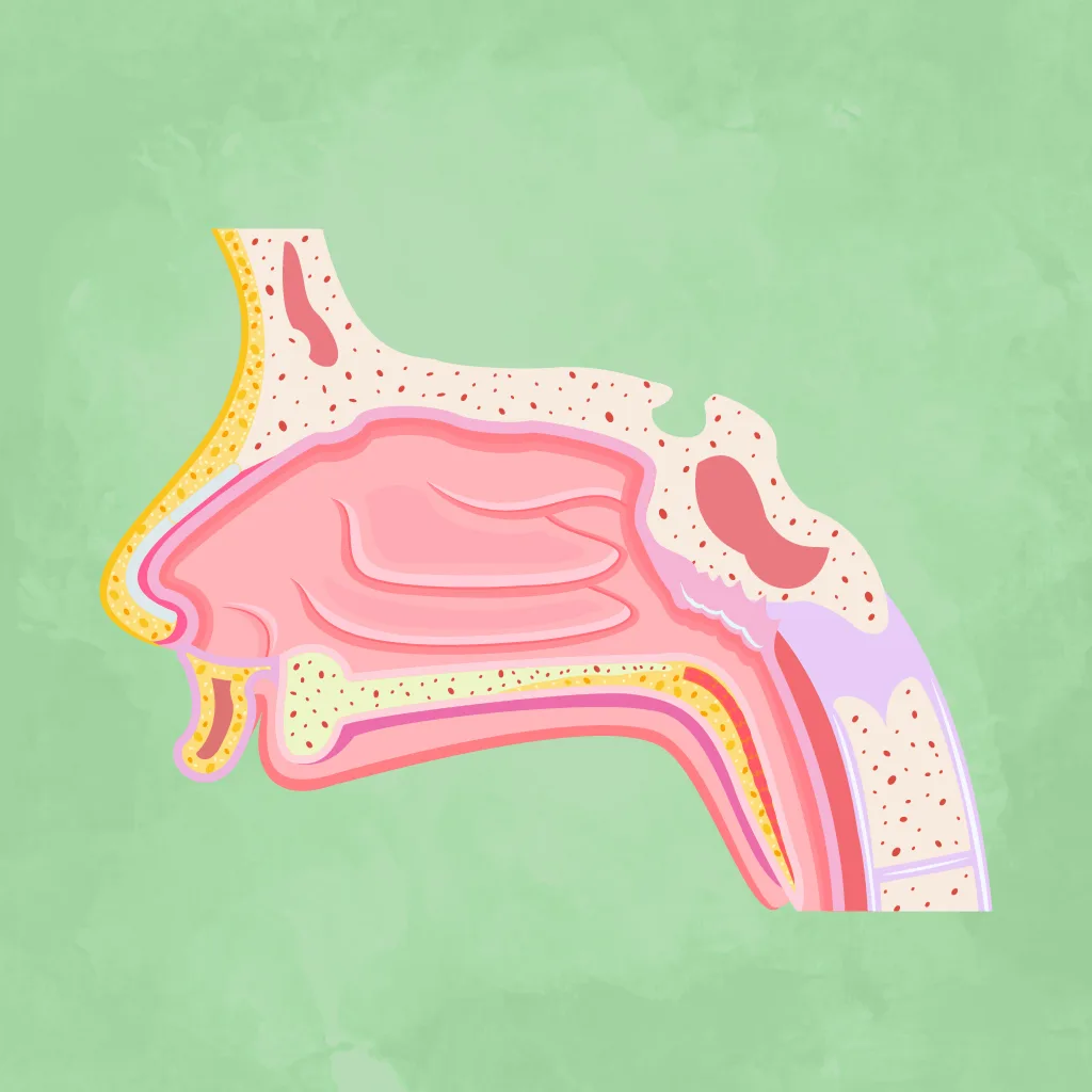 Allergic Rhinitis
